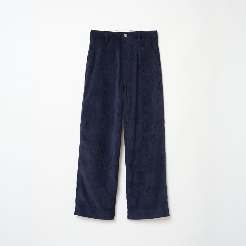 Painter C / CORDUROY NAVY