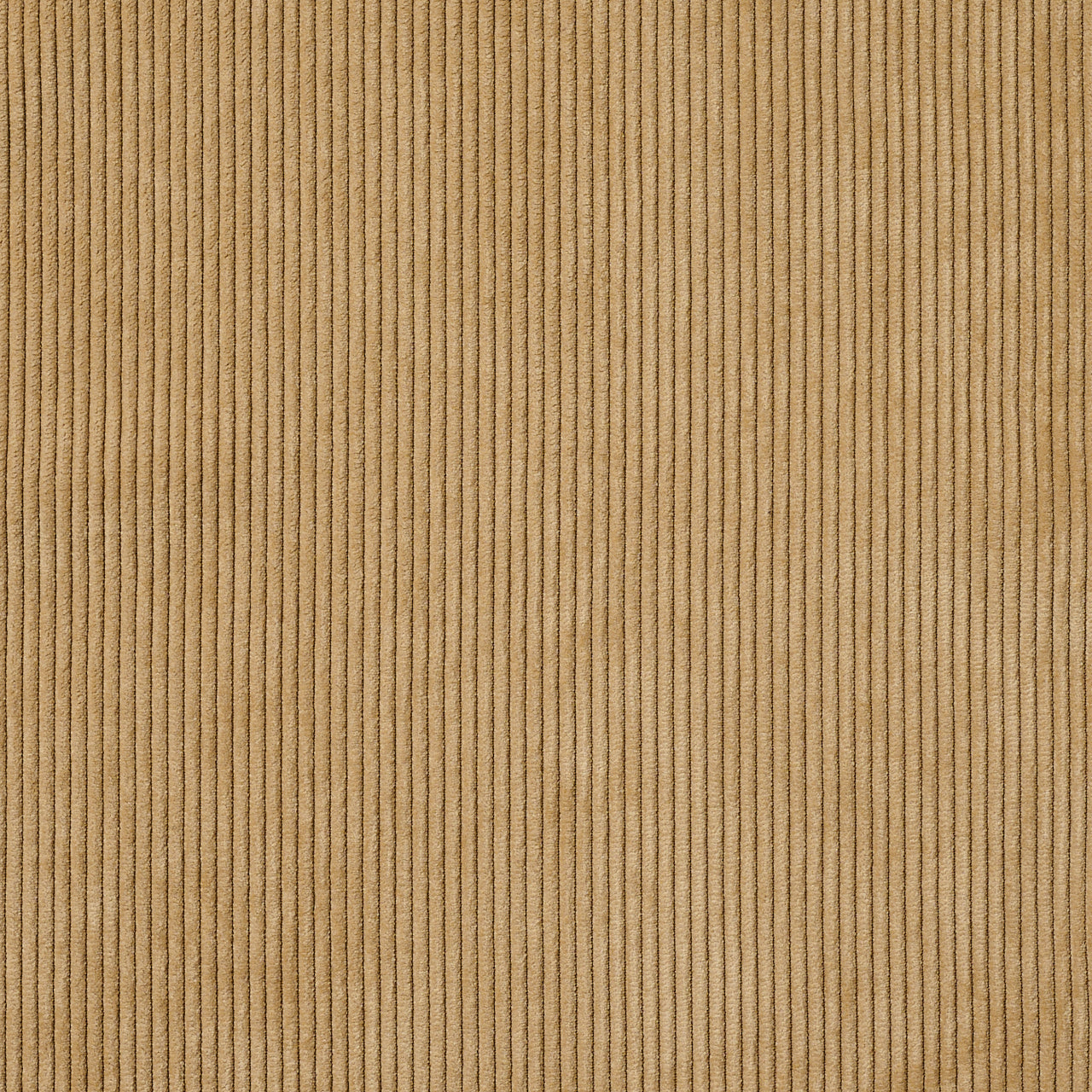 THE SHISHIKUI / Painter C コーデュロイ ベージュ Painter C / CORDUROY BEIGE – SHISHIKUI