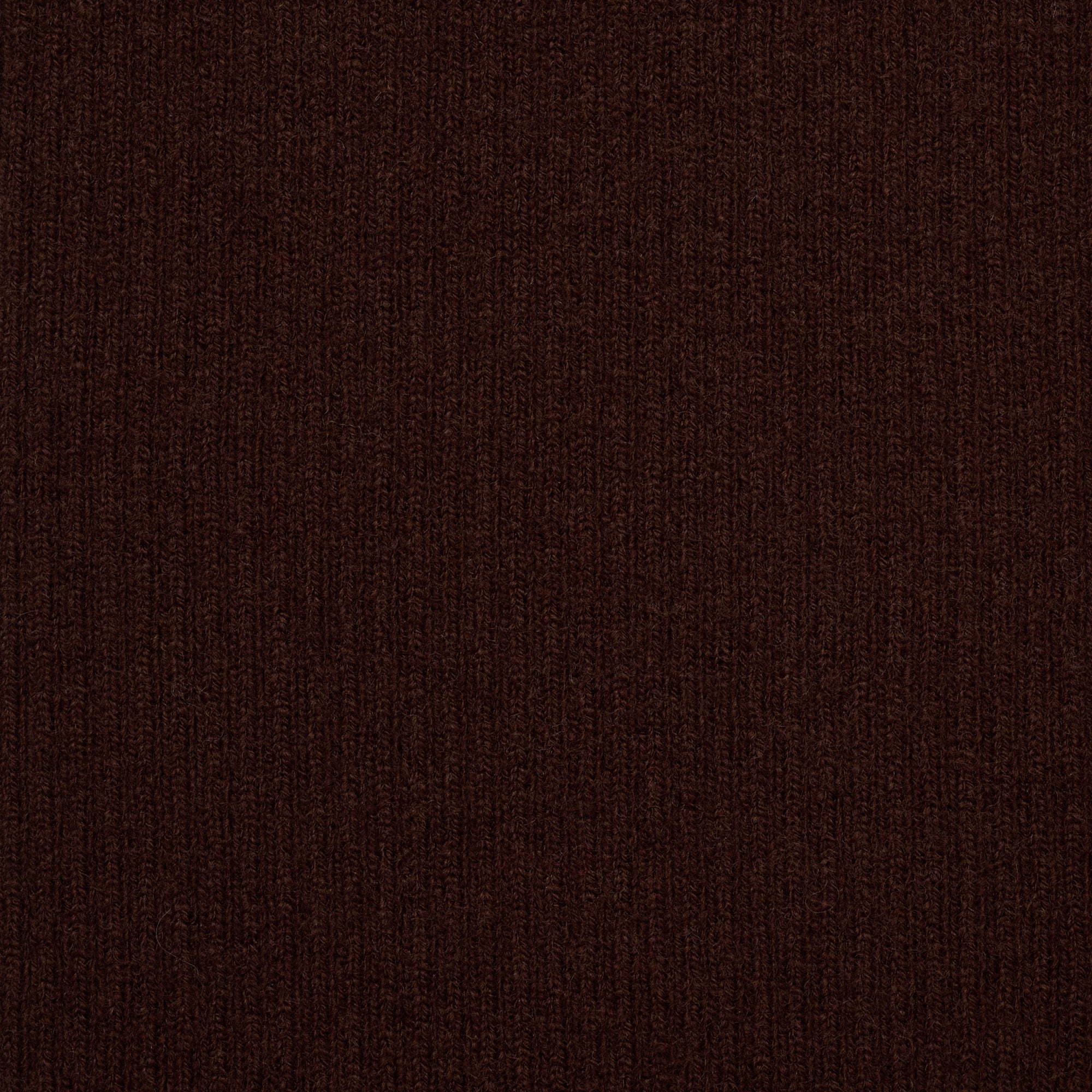 トップス SHISHIKUI mio / D.BROWN mio / D.BROWN – SHISHIKUI