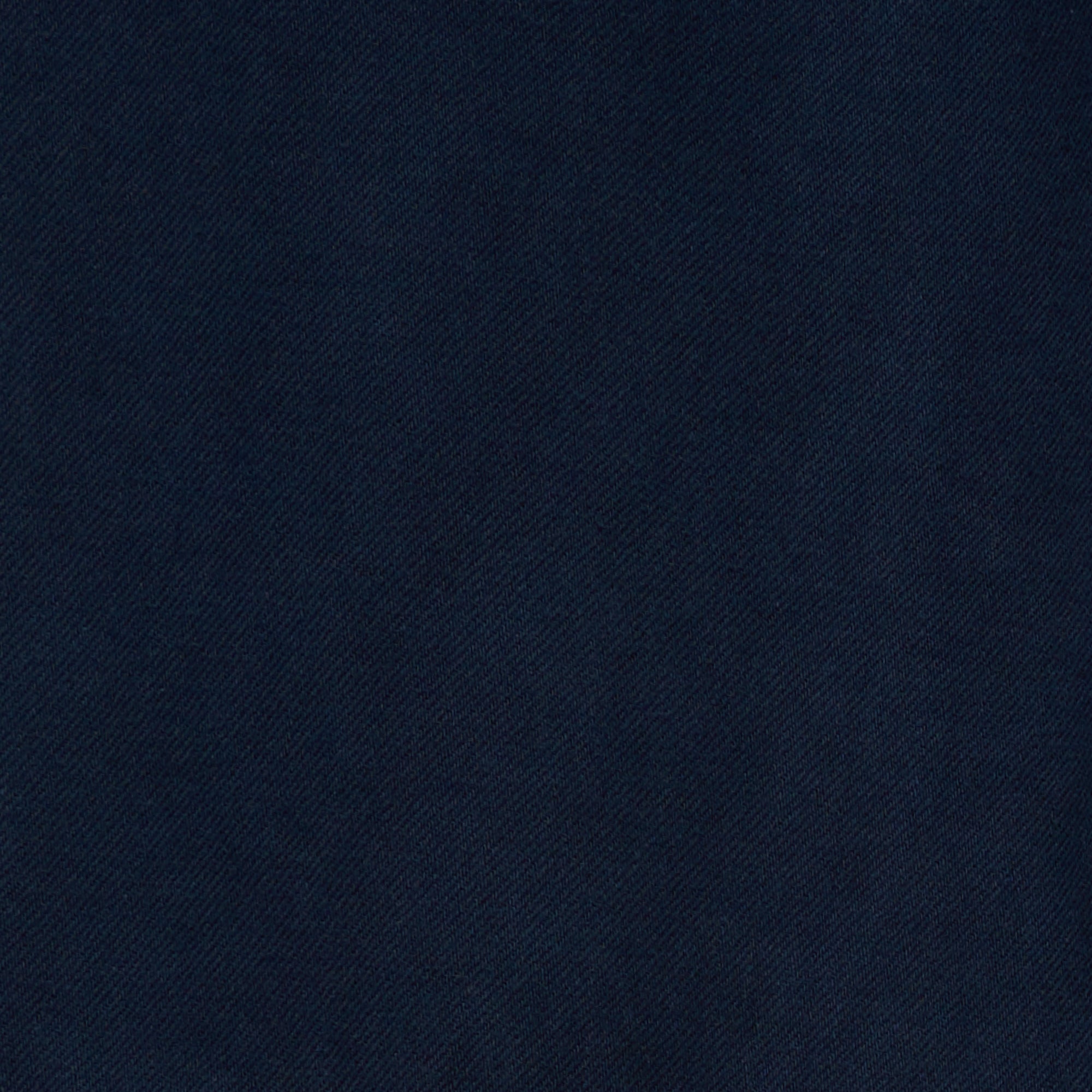 Painter pants / NAVY – SHISHIKUI