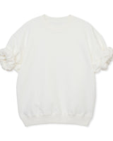 ROLL / WHITE