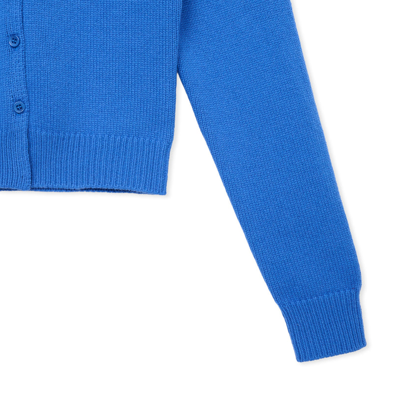 Cardigan / BLUE
