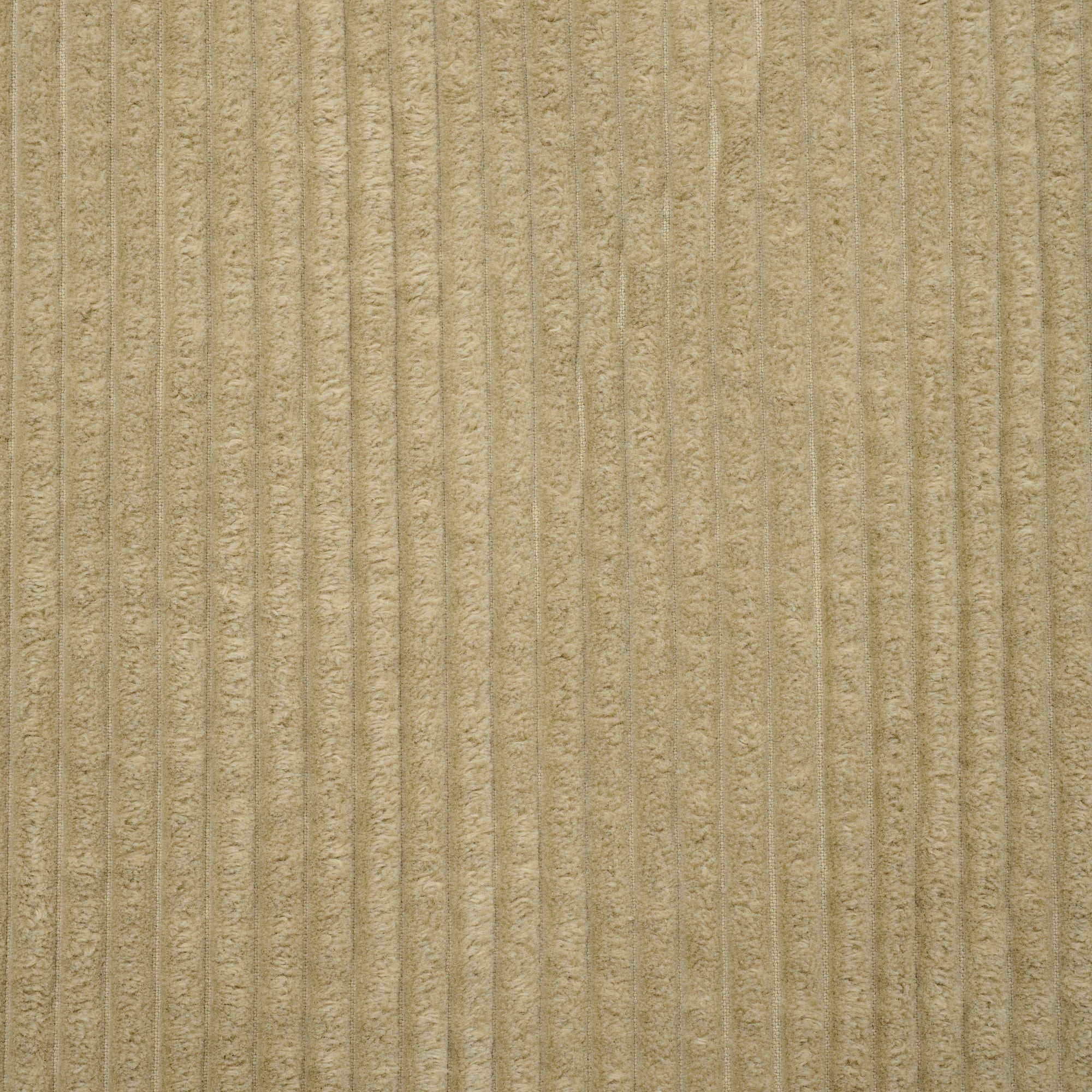 corduroy p / BEIGE – SHISHIKUI