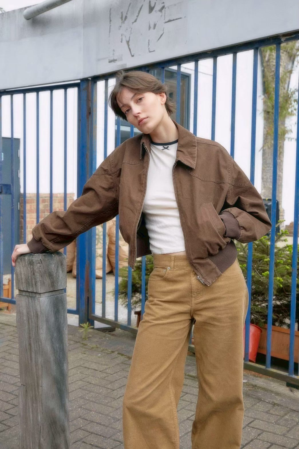 MIC / BROWN – SHISHIKUI